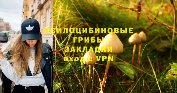 MDMA Алексин
