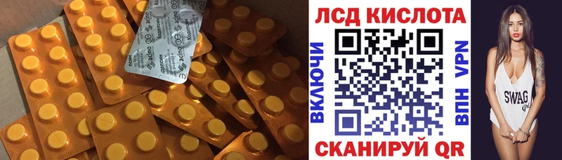 дарнет шоп  Пучеж  Лсд 25 экстази кислота 