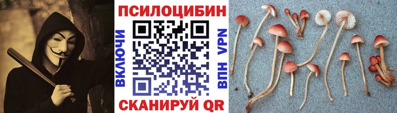Галлюциногенные грибы мицелий  Пучеж 